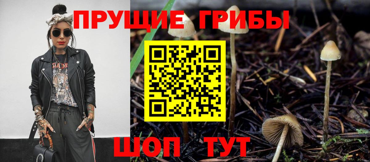Псилоцибиновые грибы Psilocybine cubensis  Вход с VPN  Тихорецк  Галлюциногенные грибы Psilocybine cubensis 